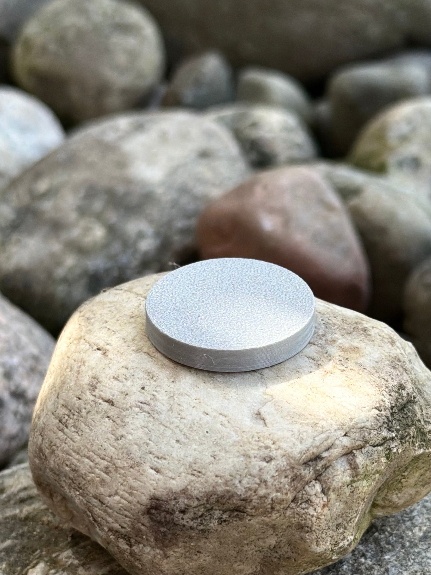 Nosework Puck