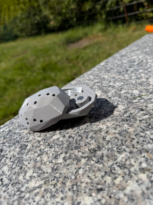 B-varer og prototyper